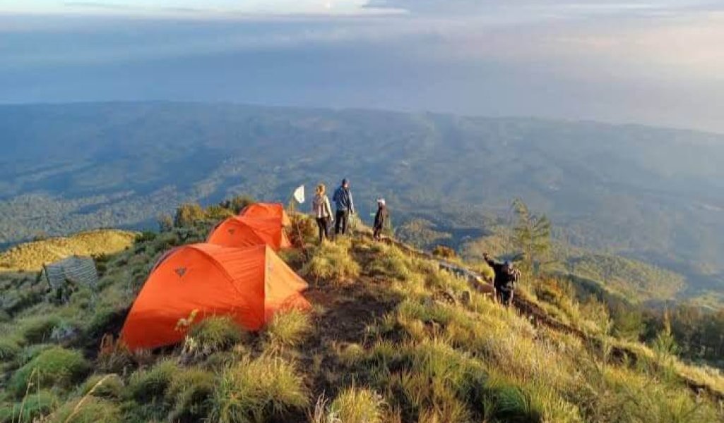 dca2c64b-8ee9-4535-a0f2-27d3f40f5d6a