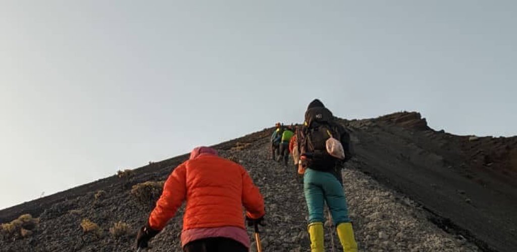 3e655d4a-41b7-4a3c-ab5f-ddd8c74a0324