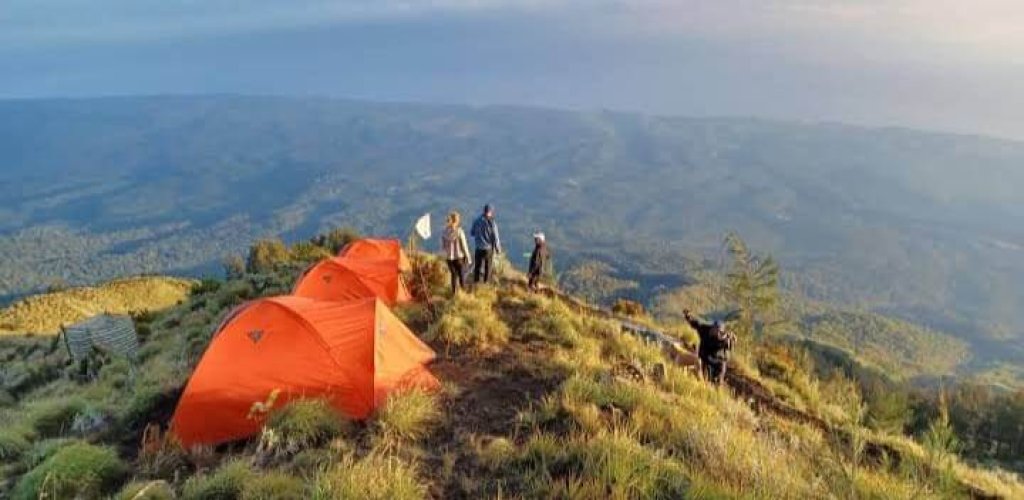 dca2c64b-8ee9-4535-a0f2-27d3f40f5d6a